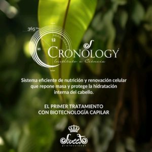 Línea Cronology - Sweet Professional